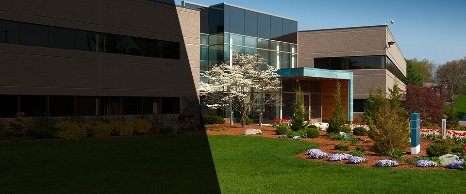 Gibson Island Landscapers