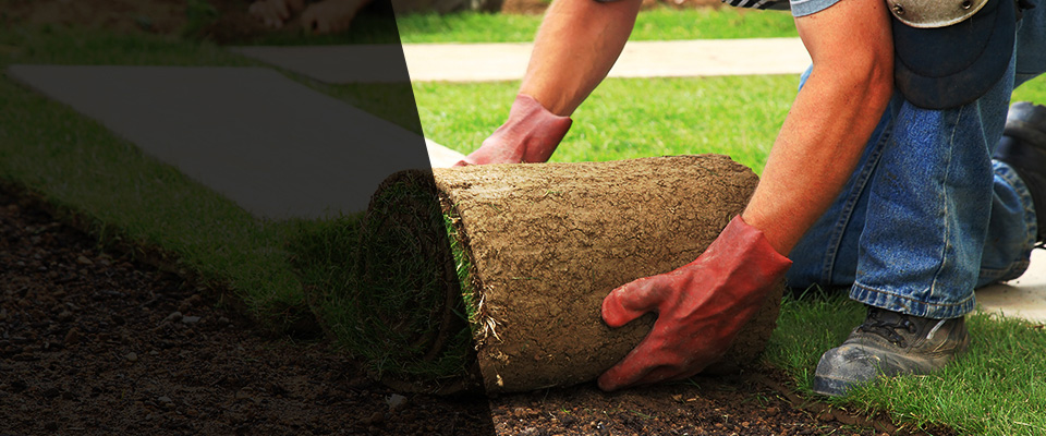 Gibson Island Landscapers